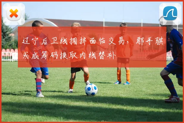 辽宁后卫线拥挤面临交易，鄢手骐或成筹码换取内线替补